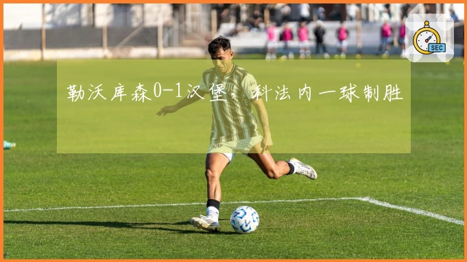 勒沃库森0-1汉堡，科法内一球制胜